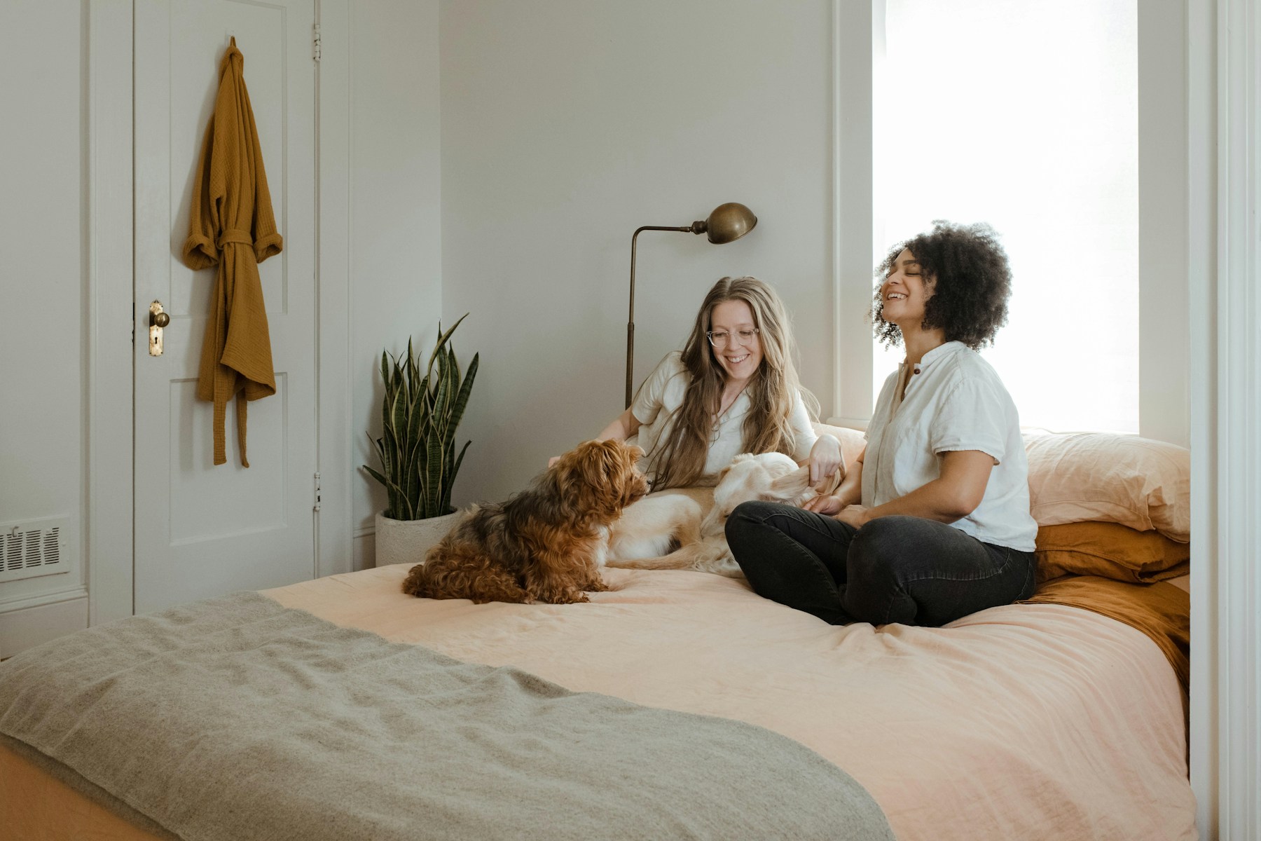 How Having a Dog Changes Your Life (in Ways Nobody Warns You About) featured image