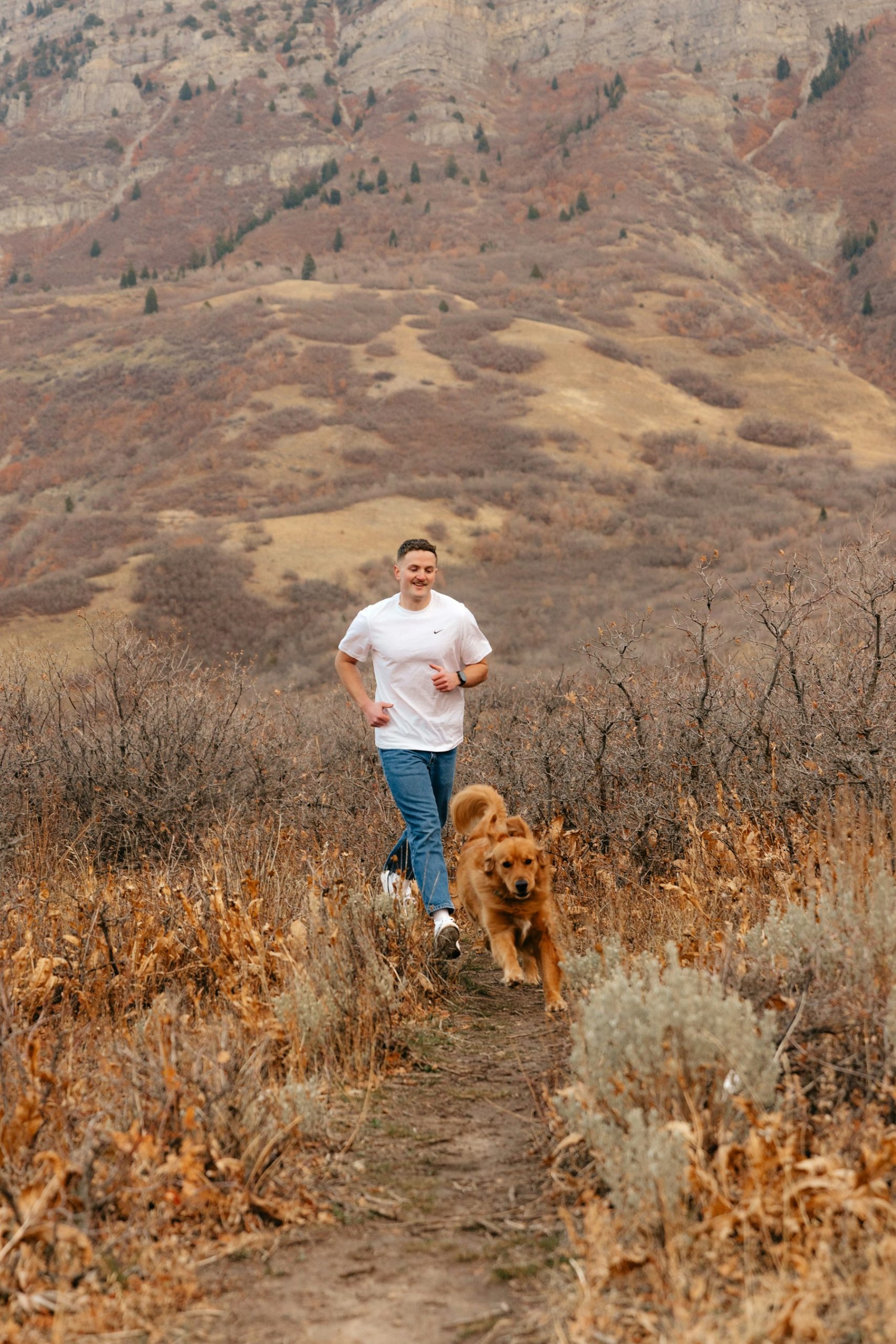 How Much Exercise Does Your Dog Actually Need featured image