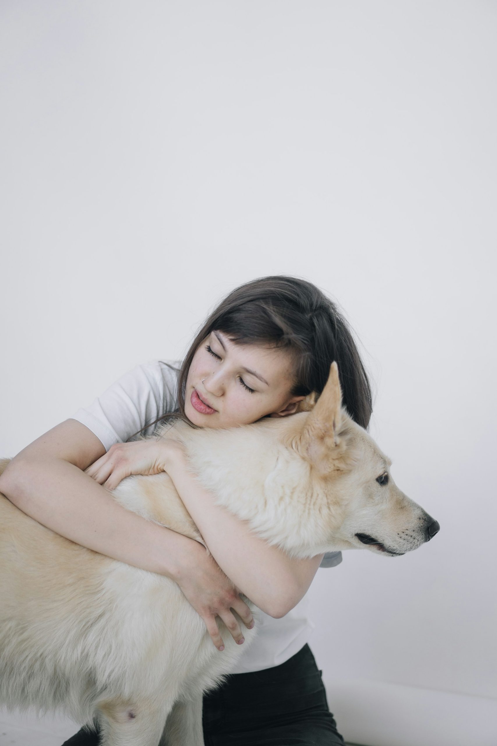 Signs Your Dog Trusts You Completely featured image
