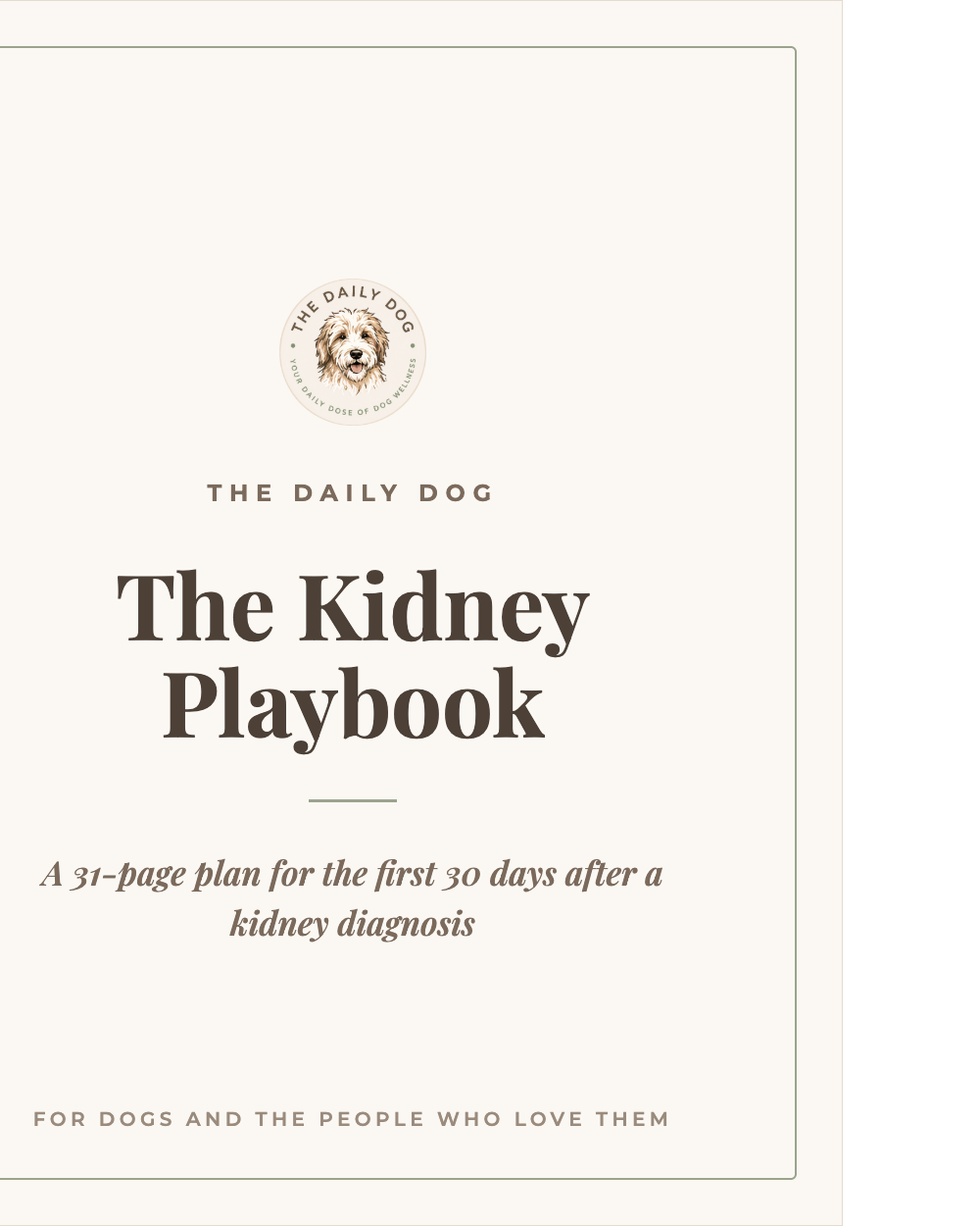 The Kidney Playbook cover